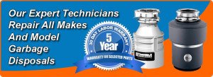 Garbage Disposal Repair